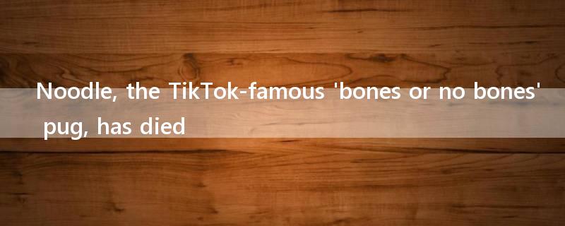 Noodle, the TikTok-famous 'bones or no bones' pug, has died